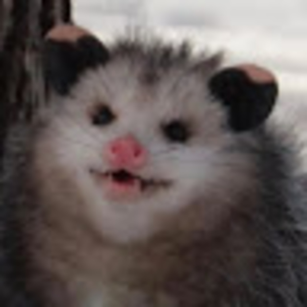 Meet your Posher, Leticia